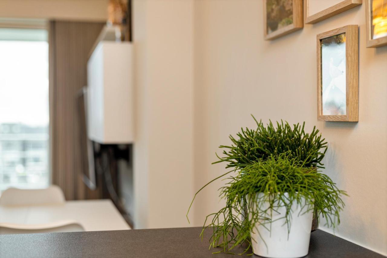 Ruim Appartement Aan De Jachthaven Blankenberge Dış mekan fotoğraf